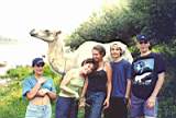 camel2.JPG