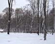 c10_jasenevo.JPG